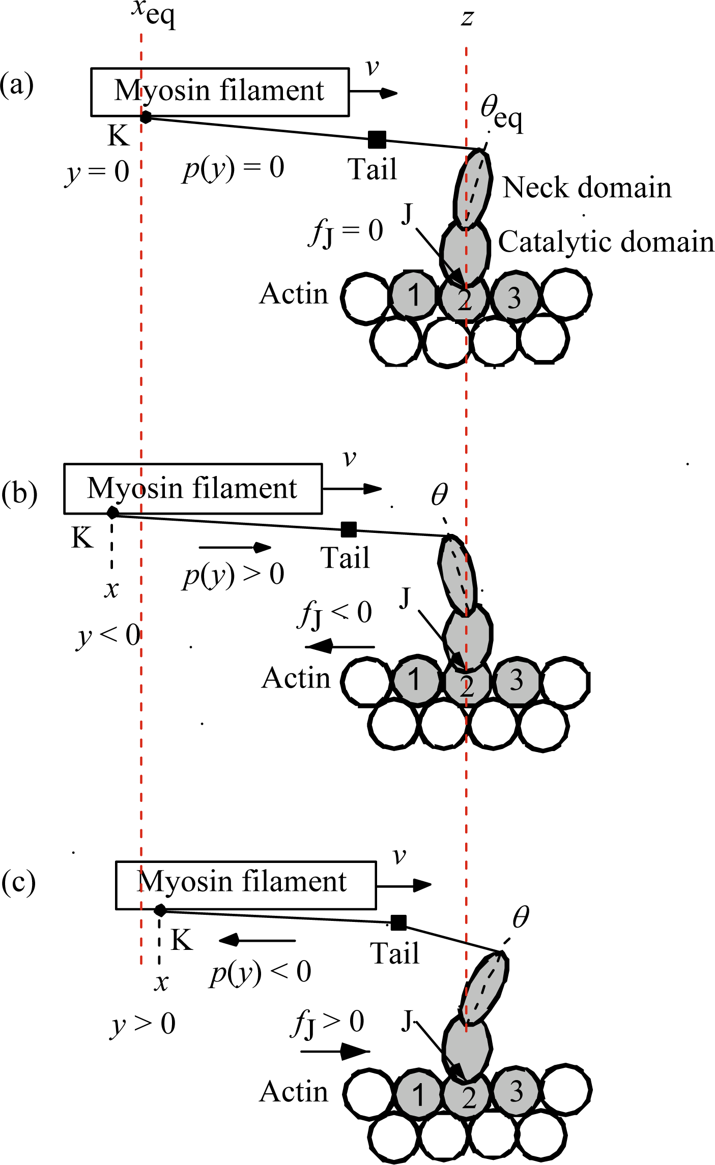 Ijms 12 01697f4 1024