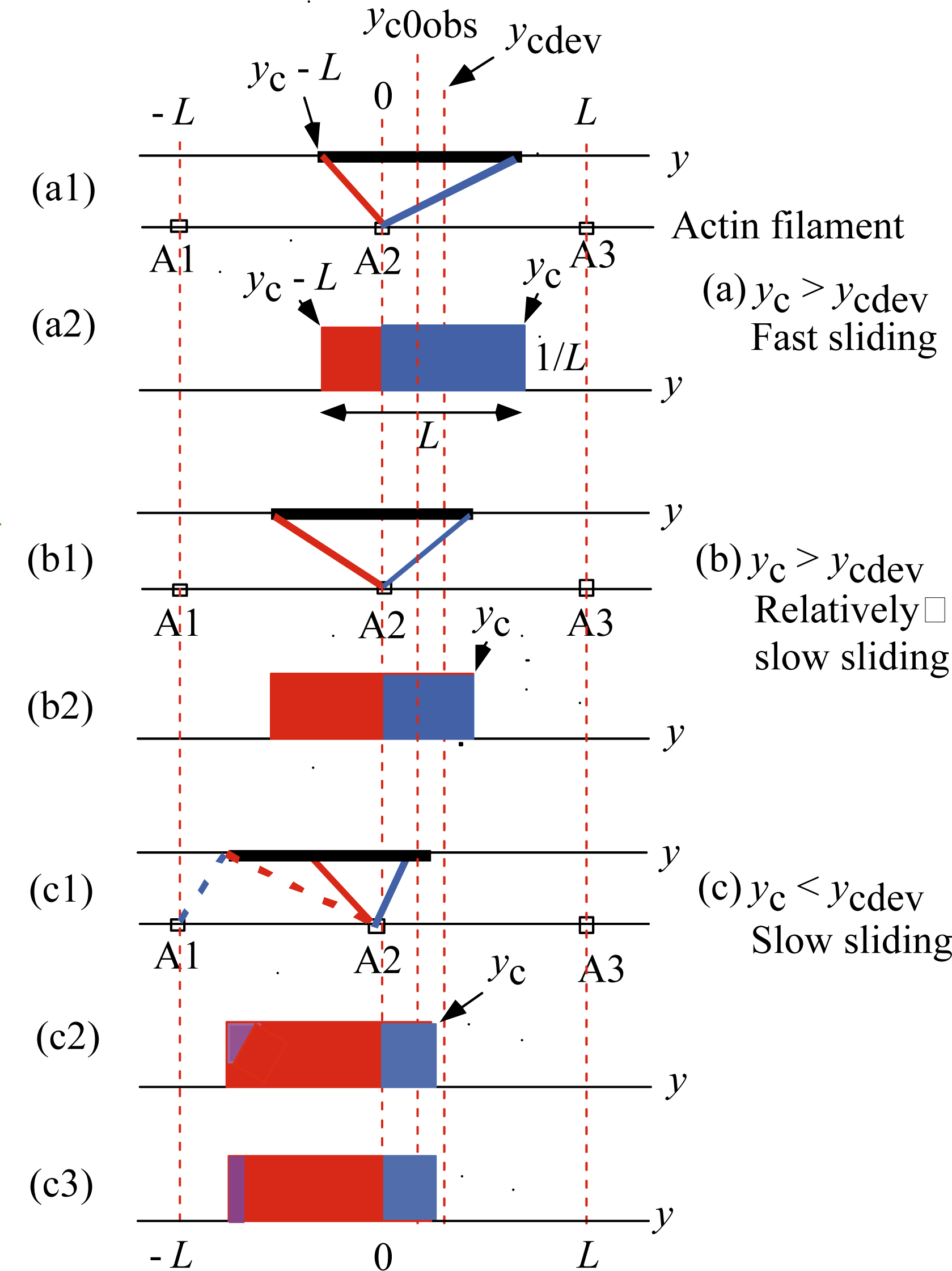 Ijms 12 01697f6 1024