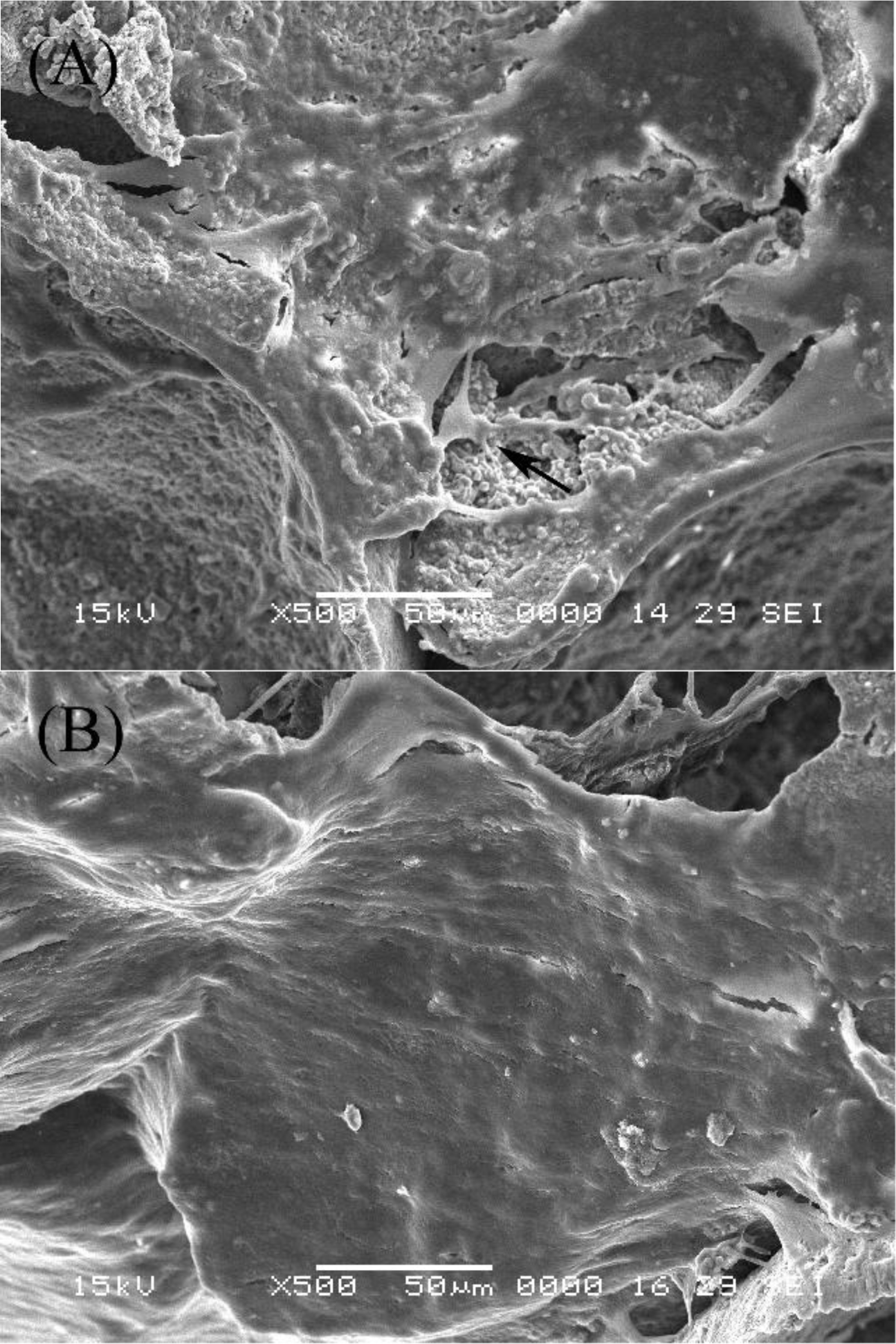 Ijms 12 01744f2 1024