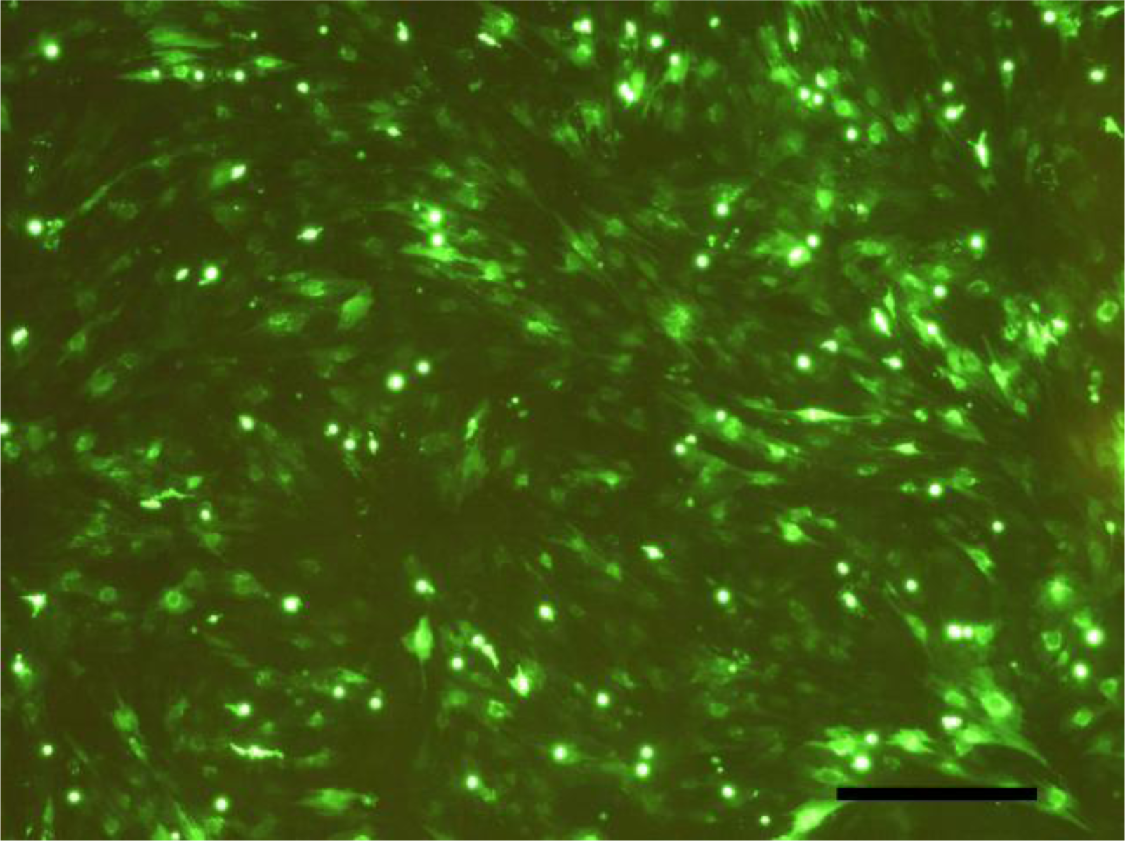 Ijms 12 01744f5 1024