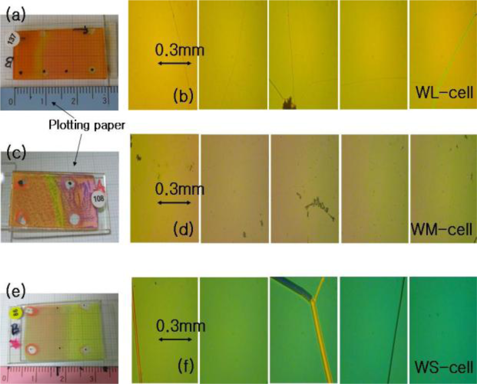 Ijms 12 02007f2 1024