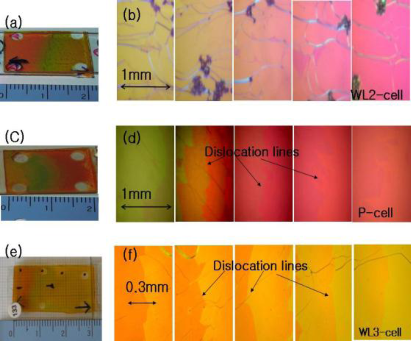 Ijms 12 02007f3 1024