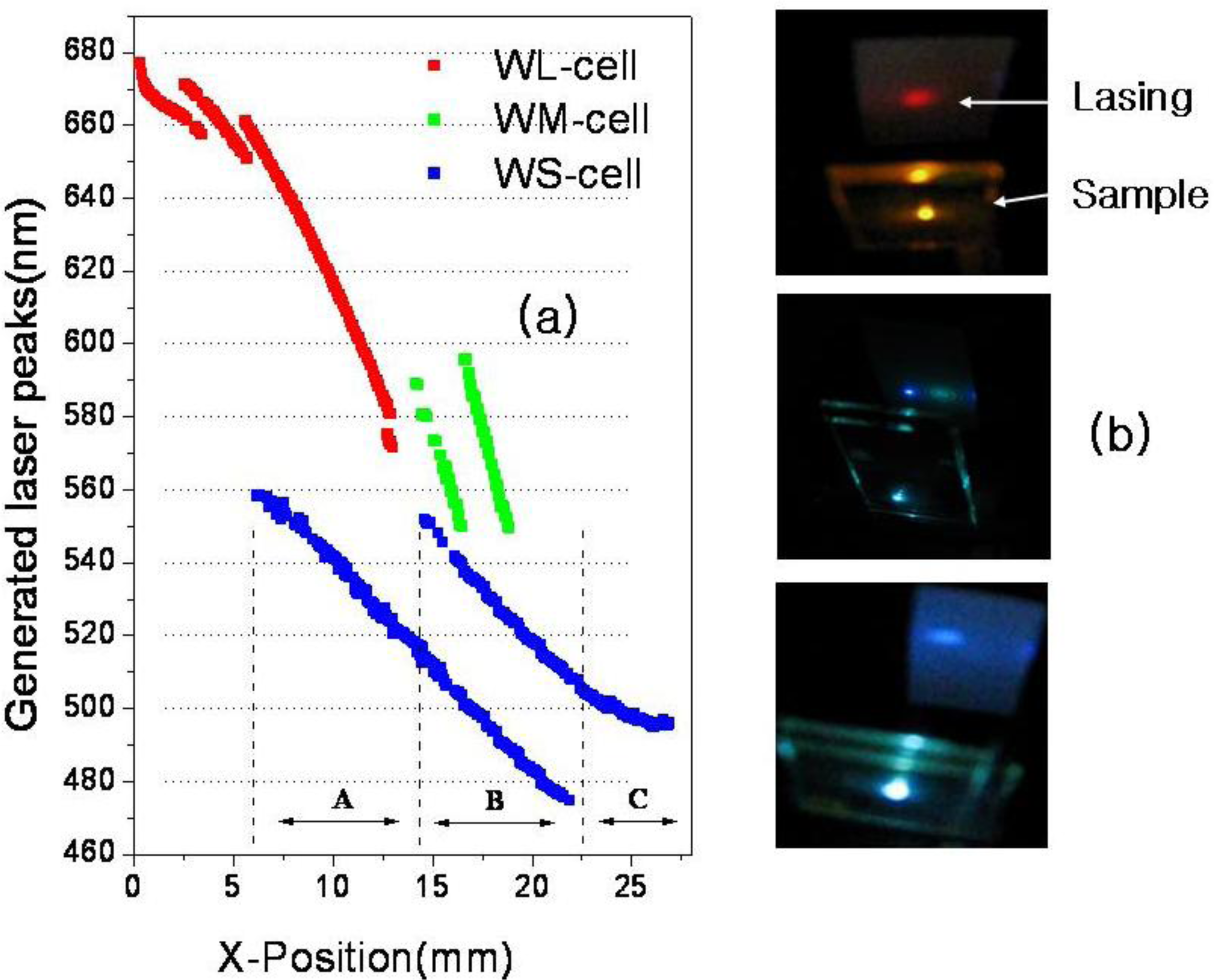 Ijms 12 02007f4 1024
