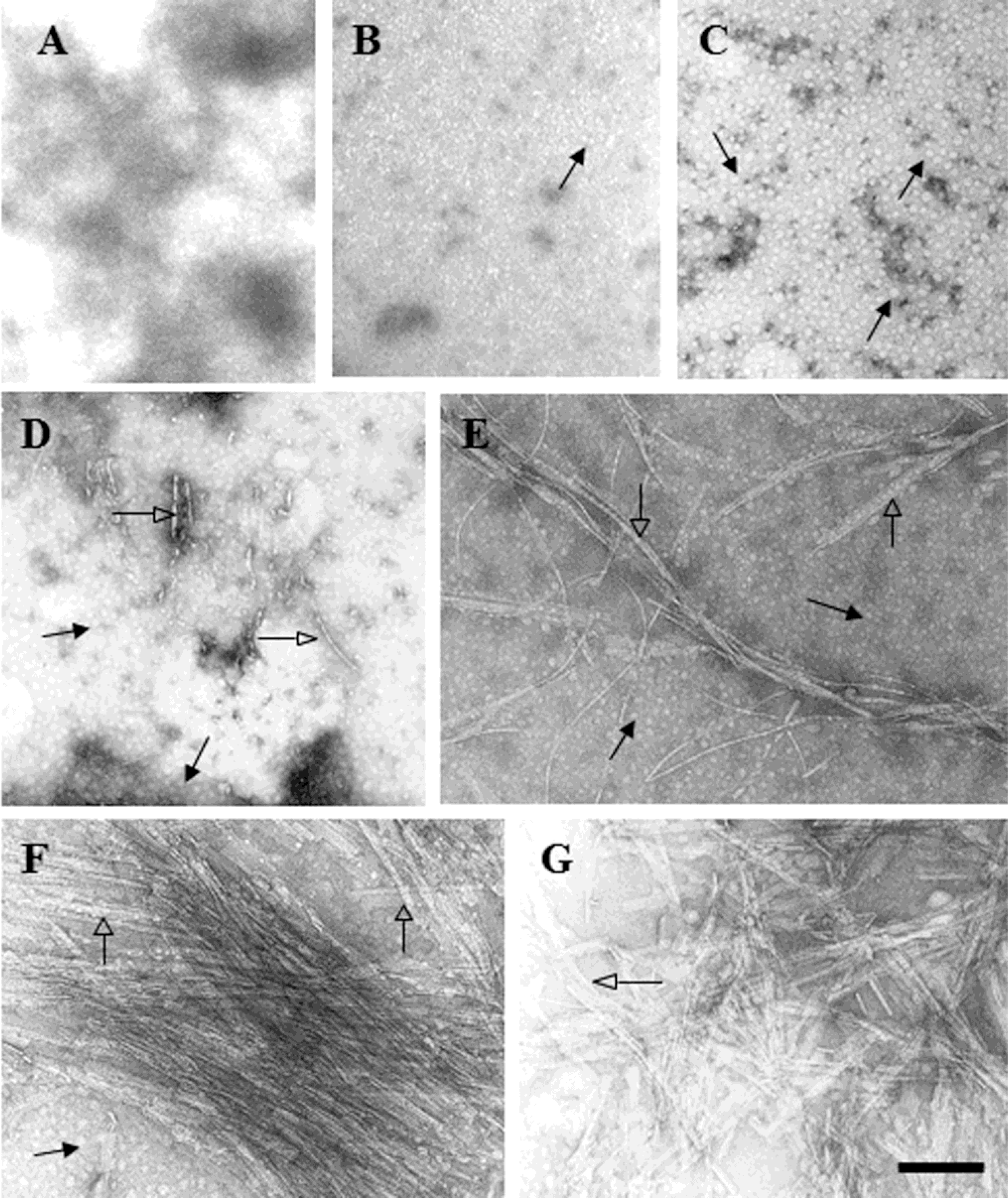 Ijms 12 02019f5 1024