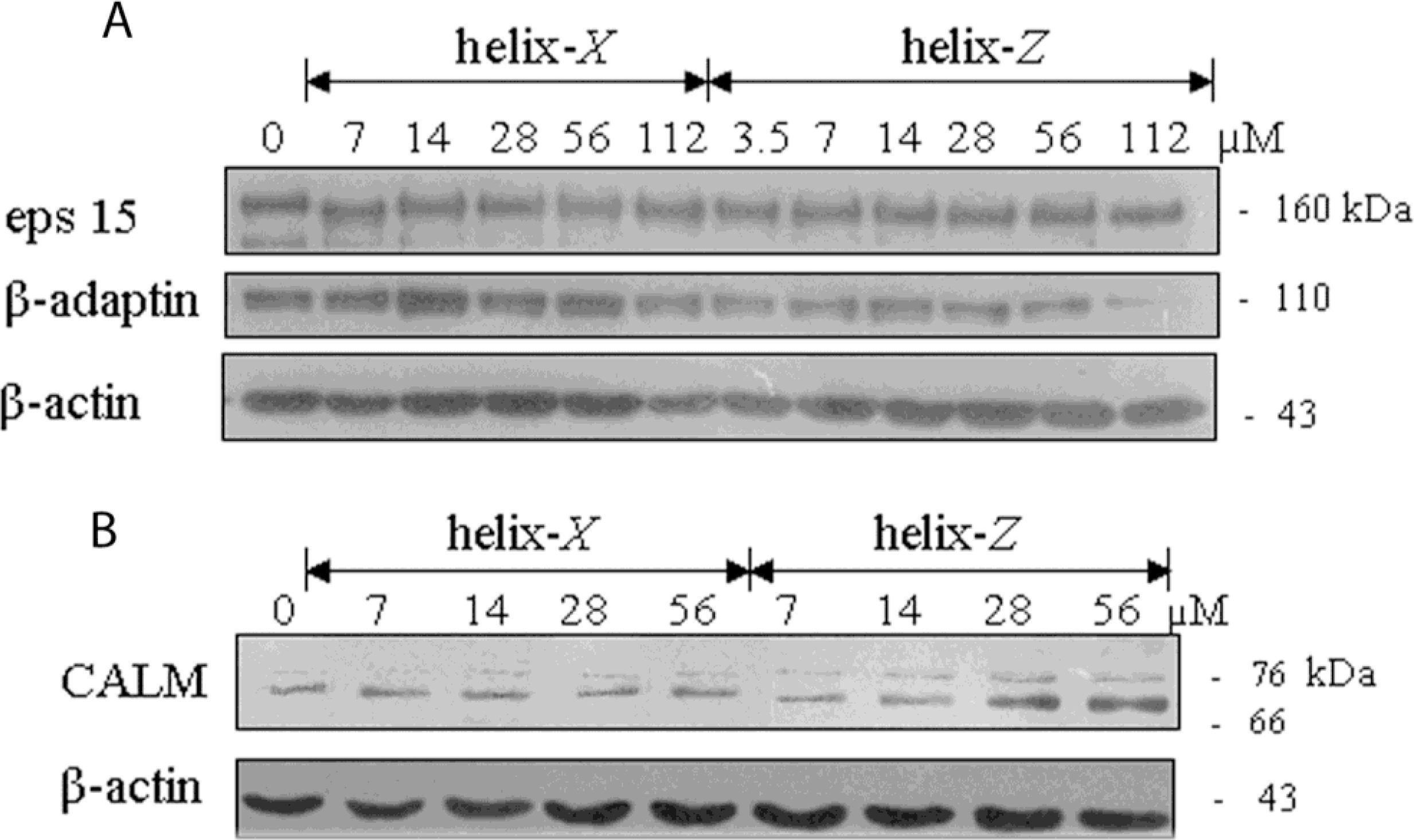 Ijms 12 02019f7 1024