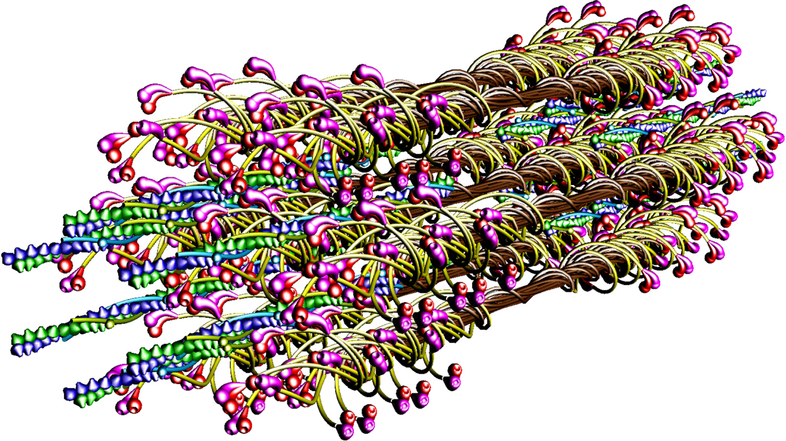 Ijms 12 02138f1 1024