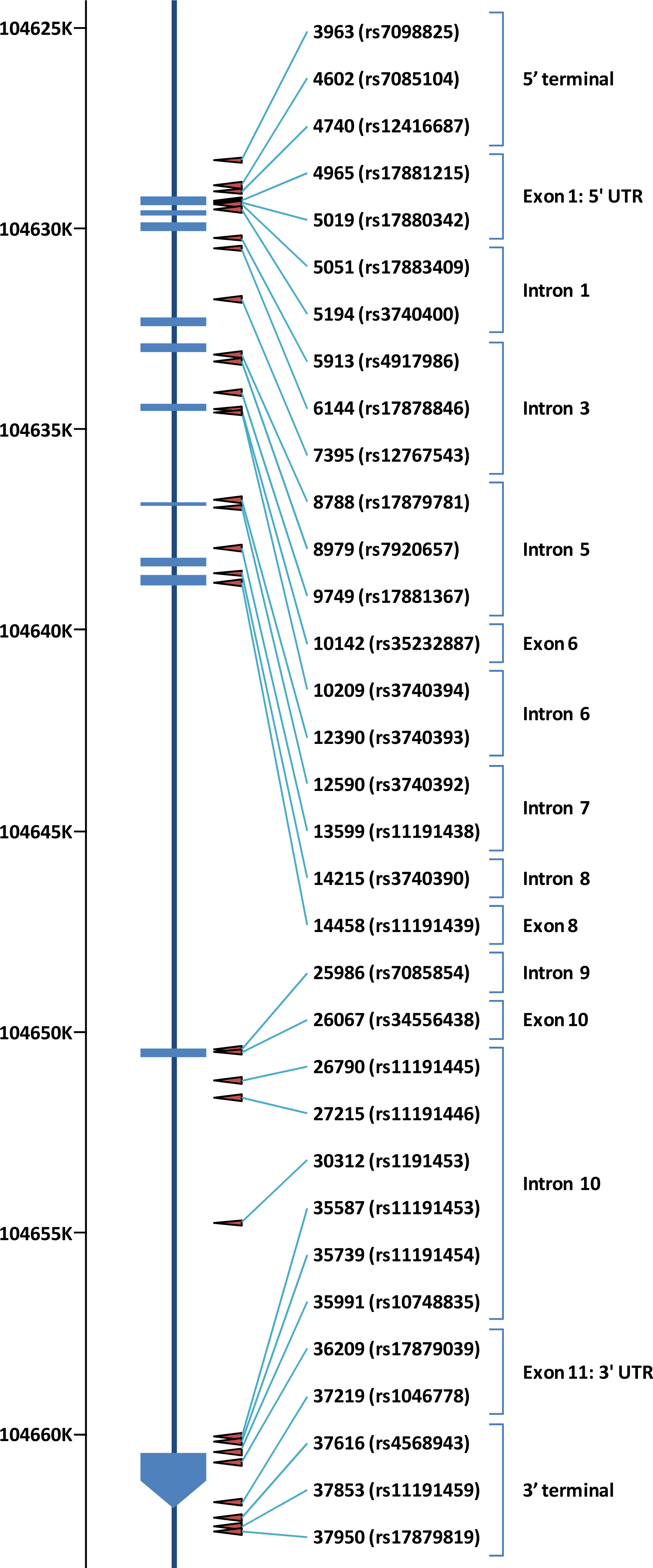 Ijms 12 02351f2 1024