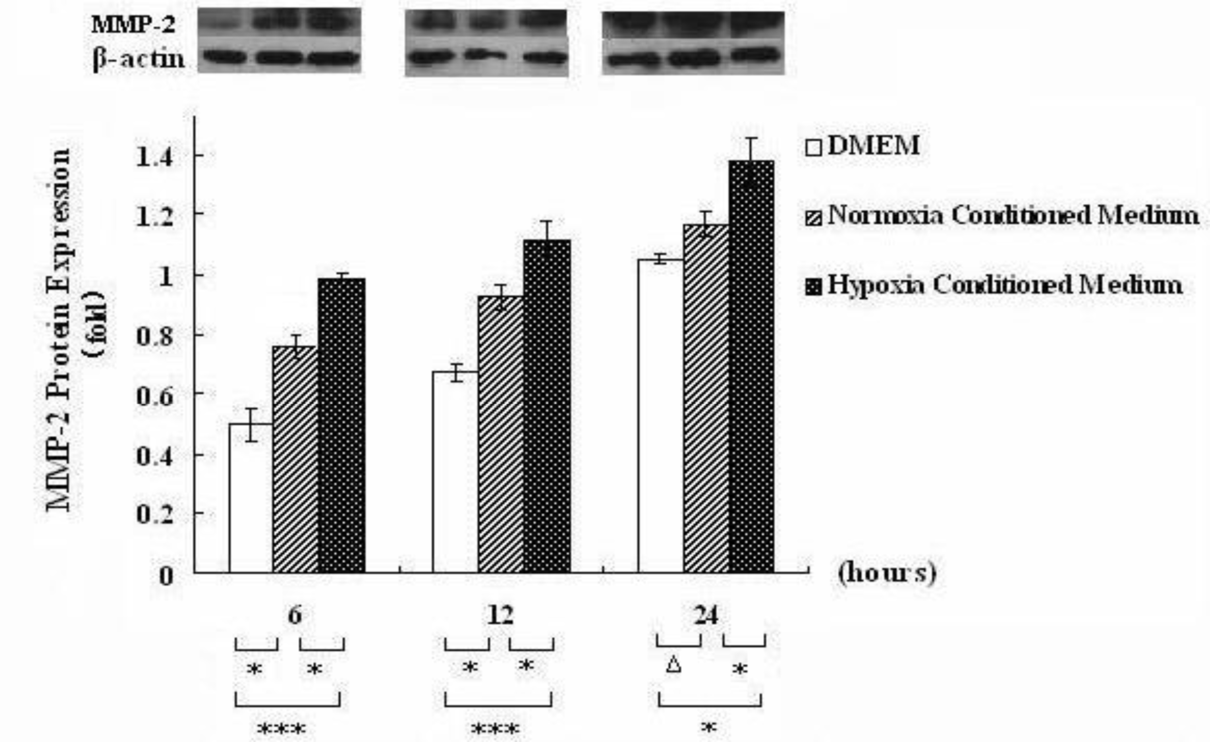 Ijms 12 02434f2 1024