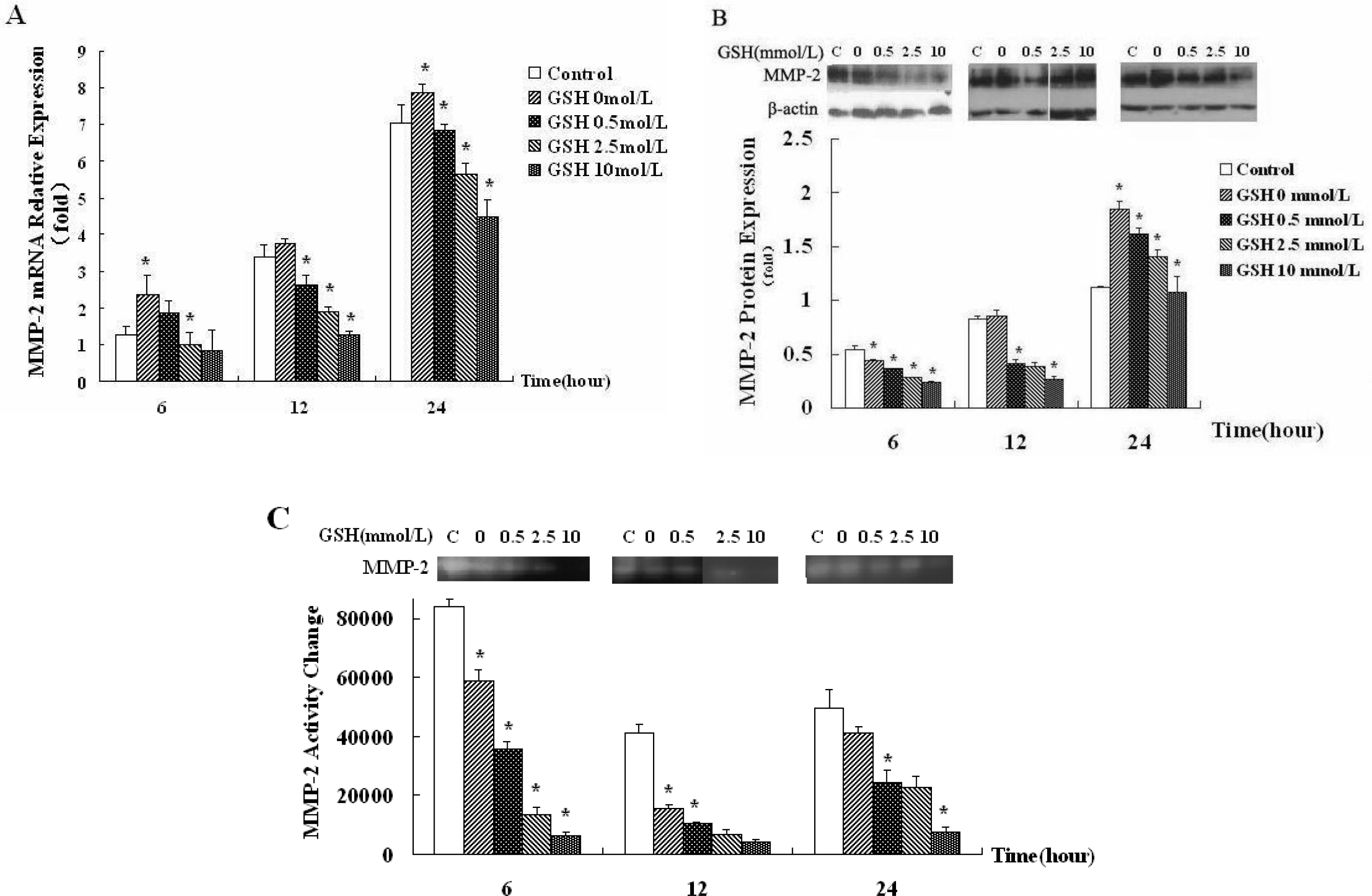 Ijms 12 02434f5 1024