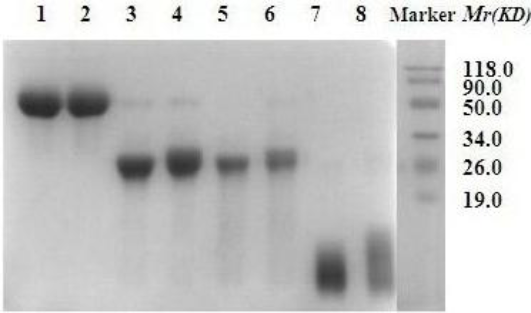 Ijms 12 02650f2 1024