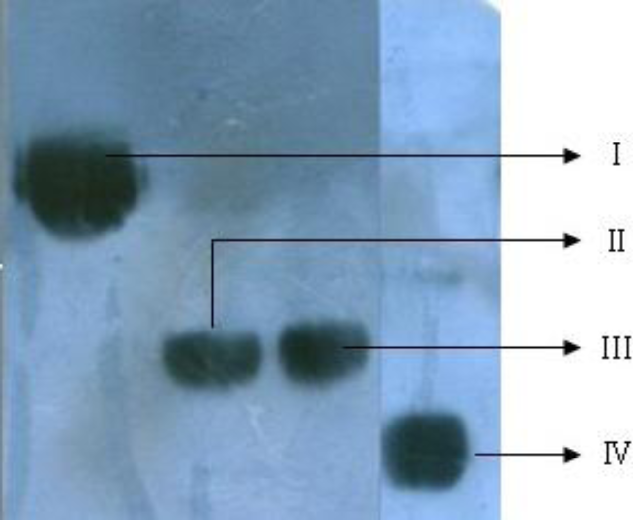 Ijms 12 02650f3 1024