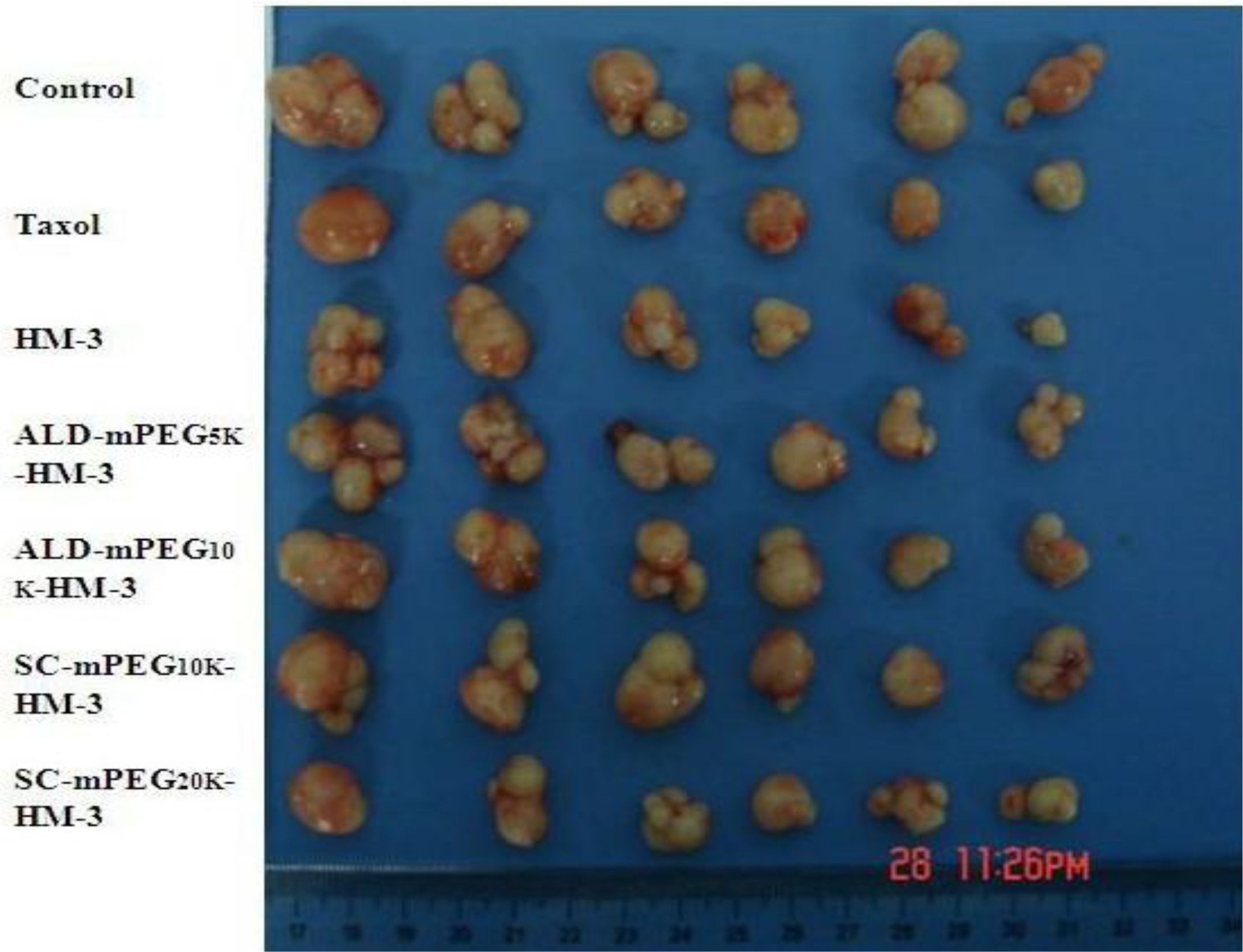 Ijms 12 02650f7 1024