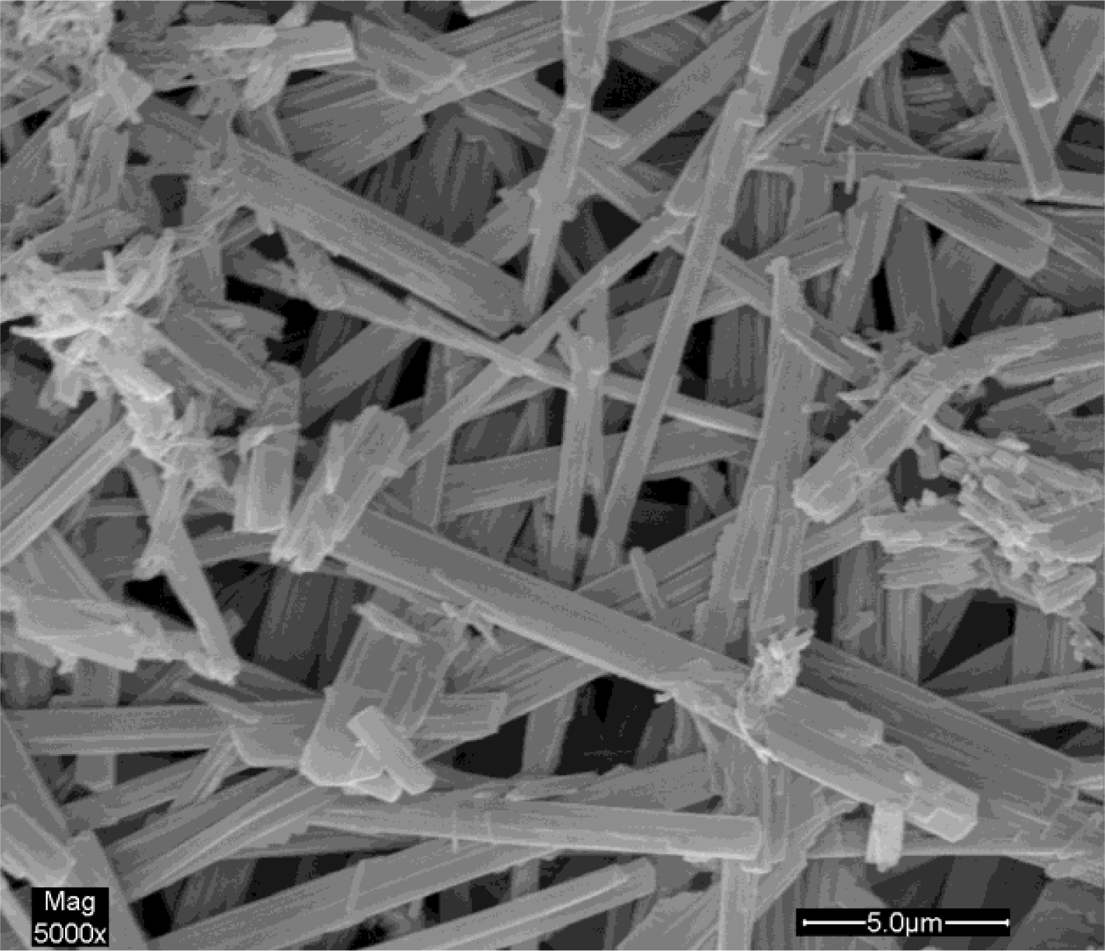 Ijms 12 02678f4 1024