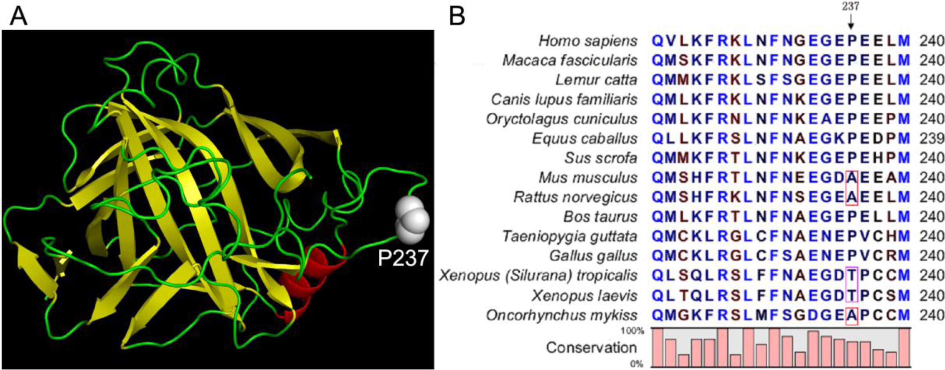 Ijms 12 02797f1 1024