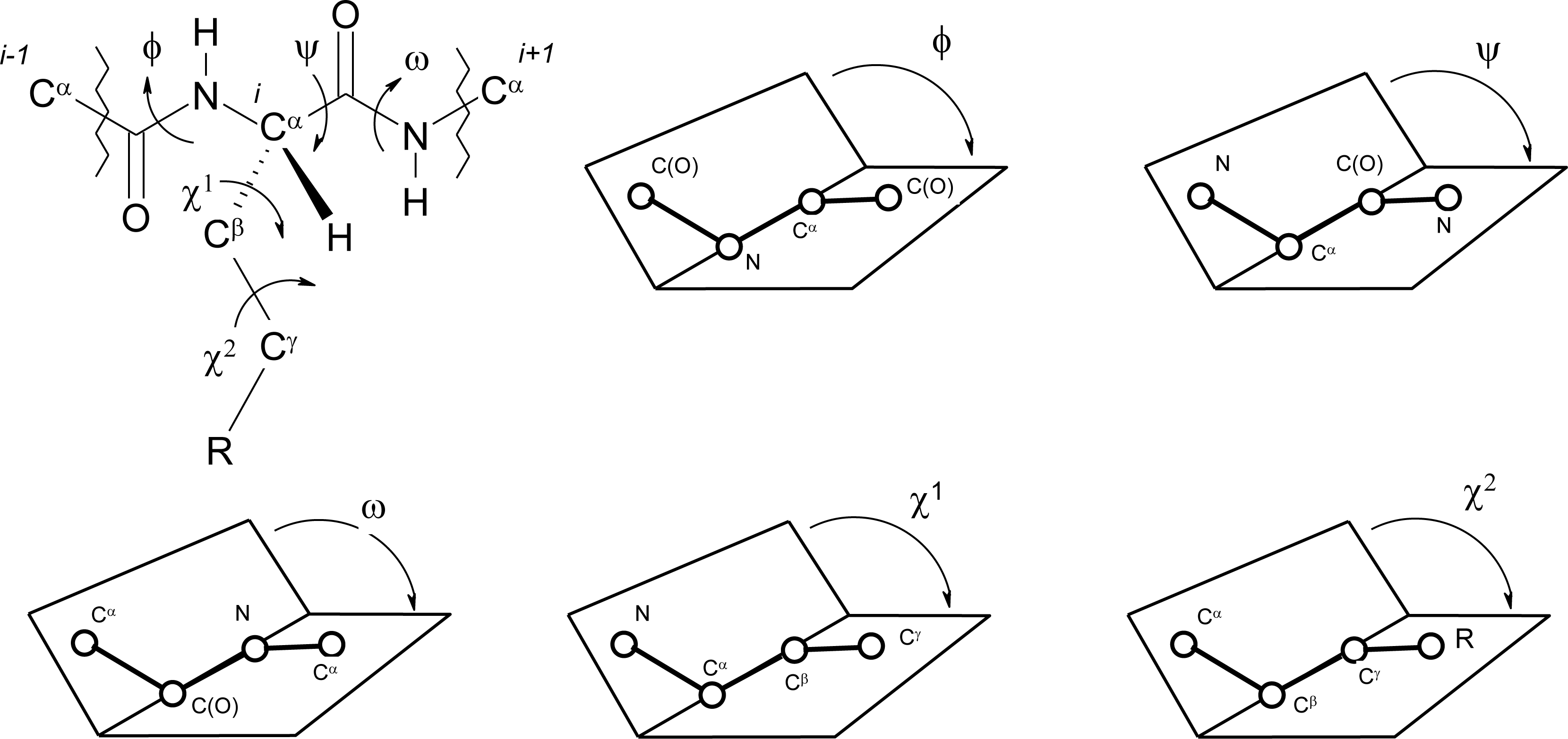 Ijms 12 02853f1