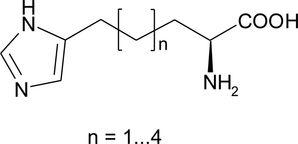 Ijms 12 02853f8 1024