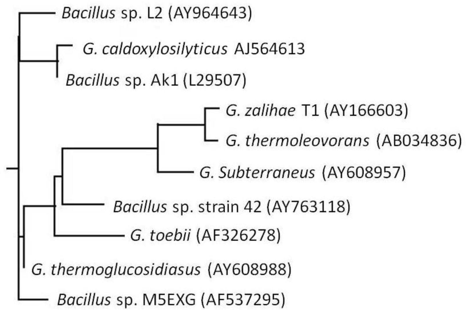 Ijms 12 02917f1 1024