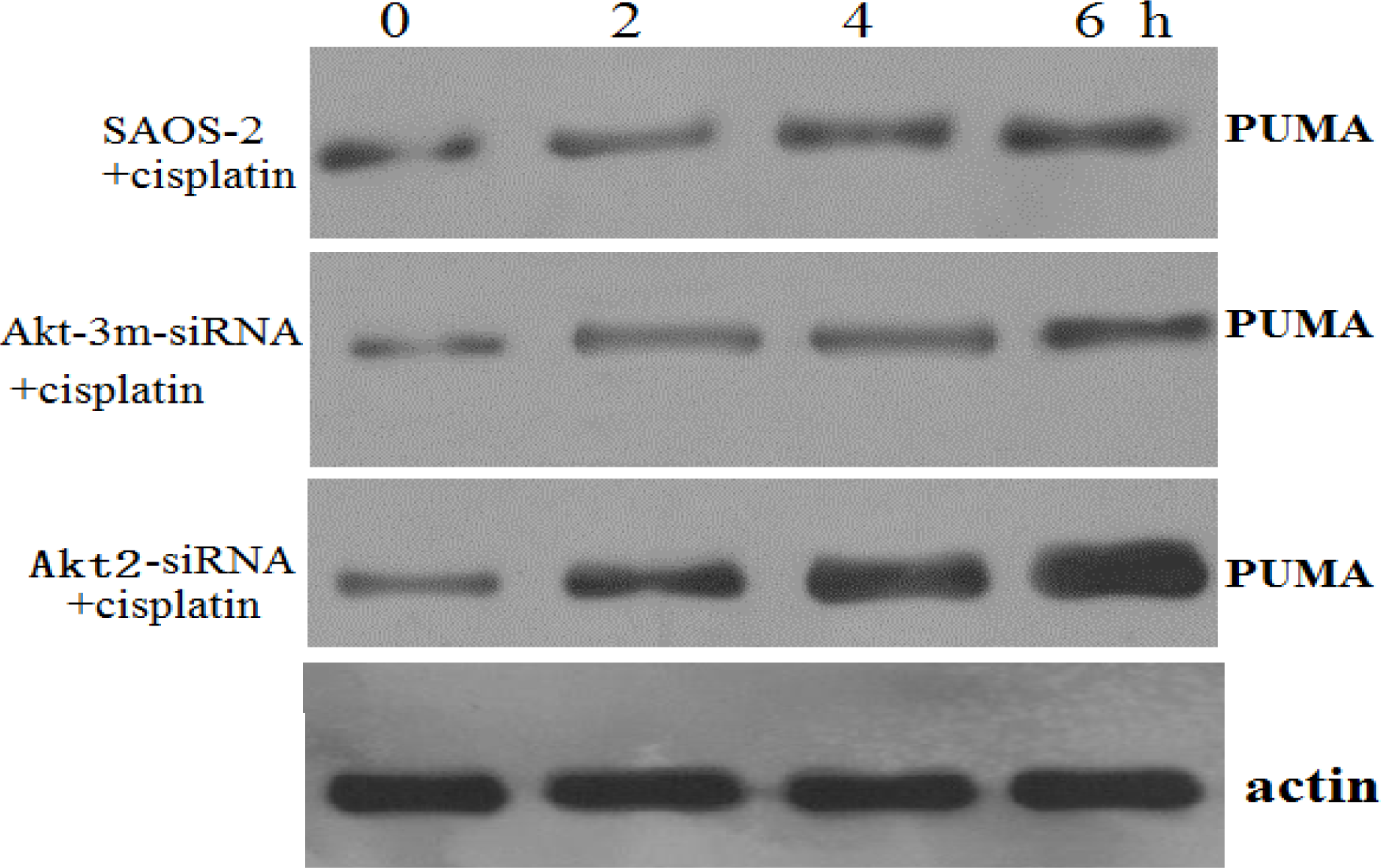 Ijms 12 02994f6 1024