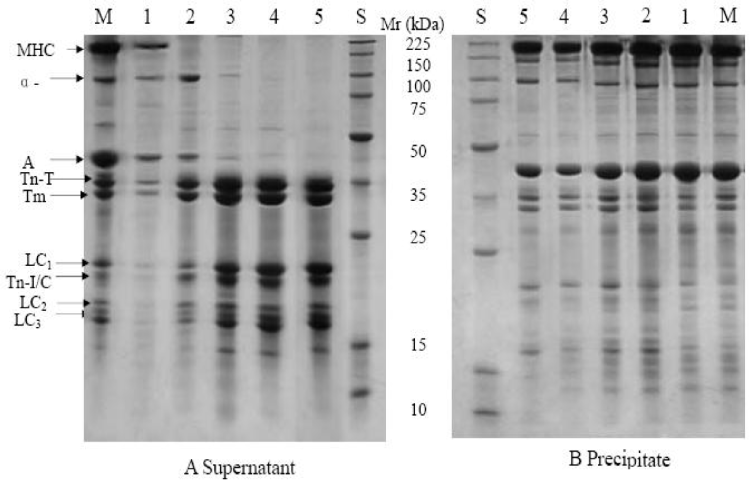 Ijms 12 03034f2 1024