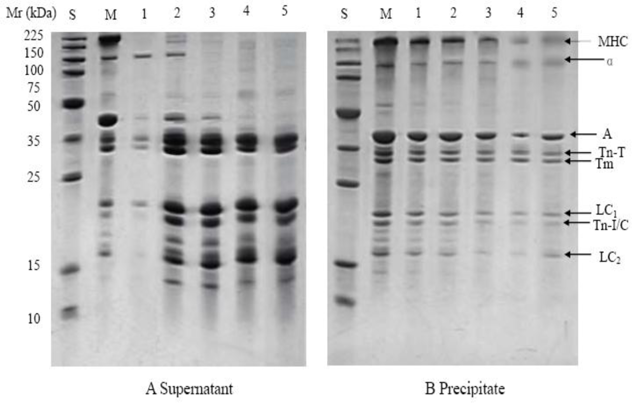 Ijms 12 03034f3 1024