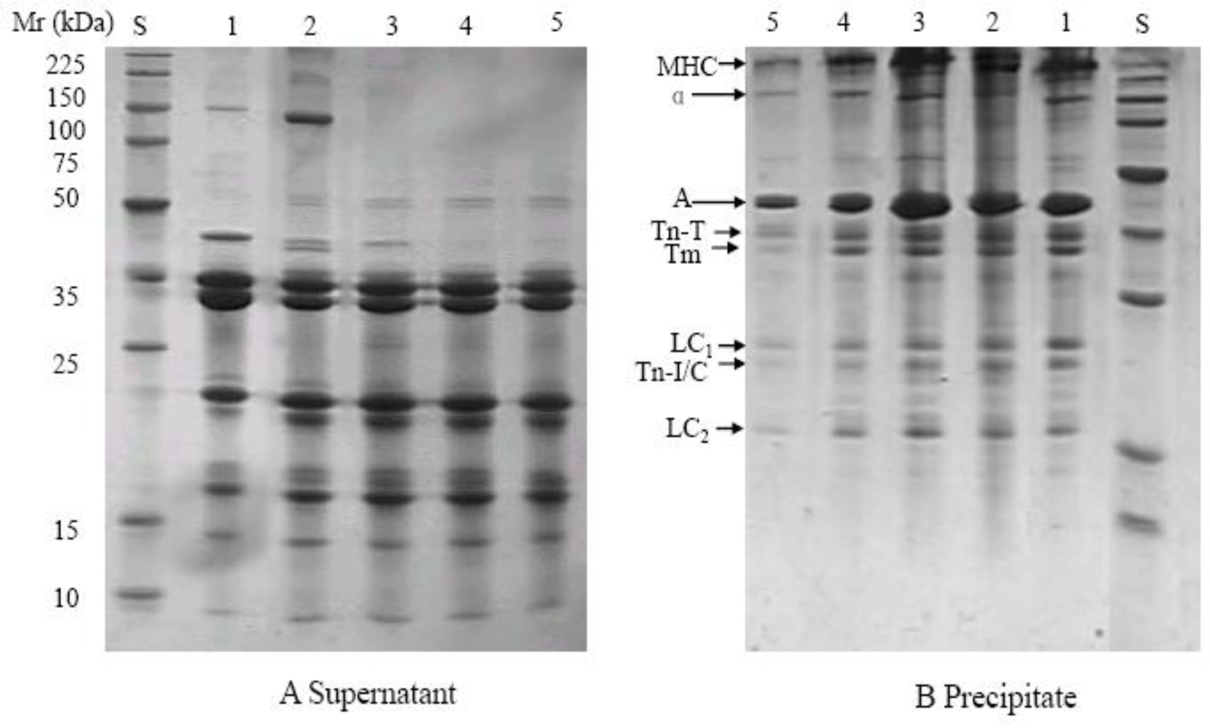 Ijms 12 03034f4 1024