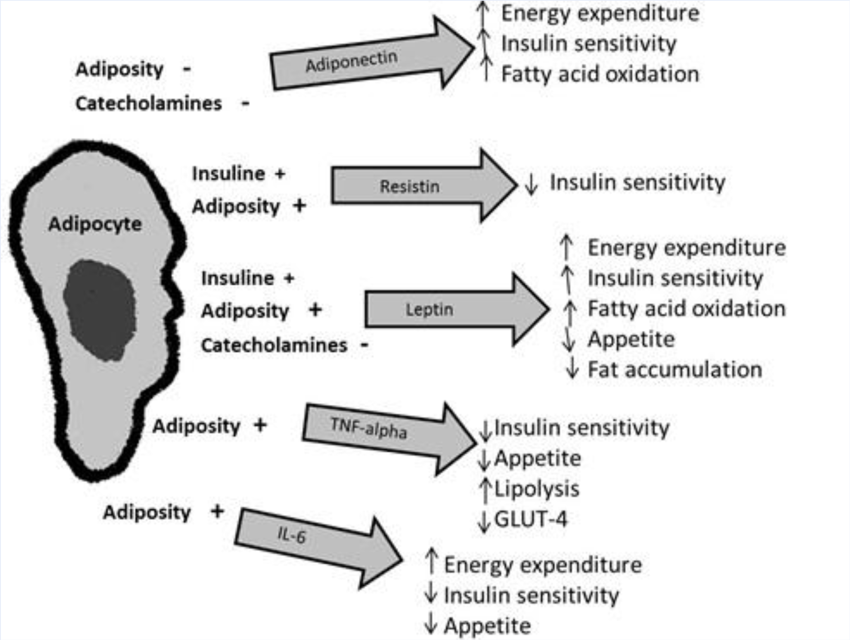 Ijms 12 03117f1 1024