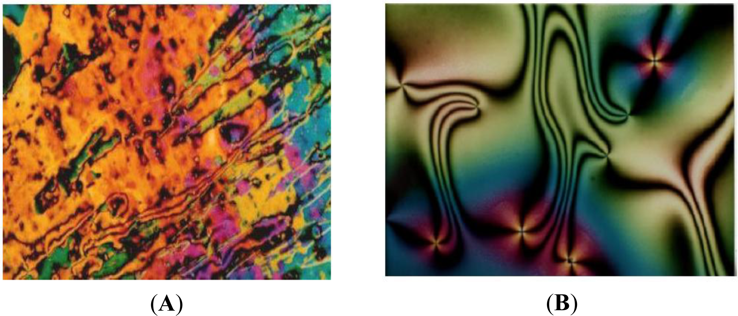 Ijms 12 03182f3 1024