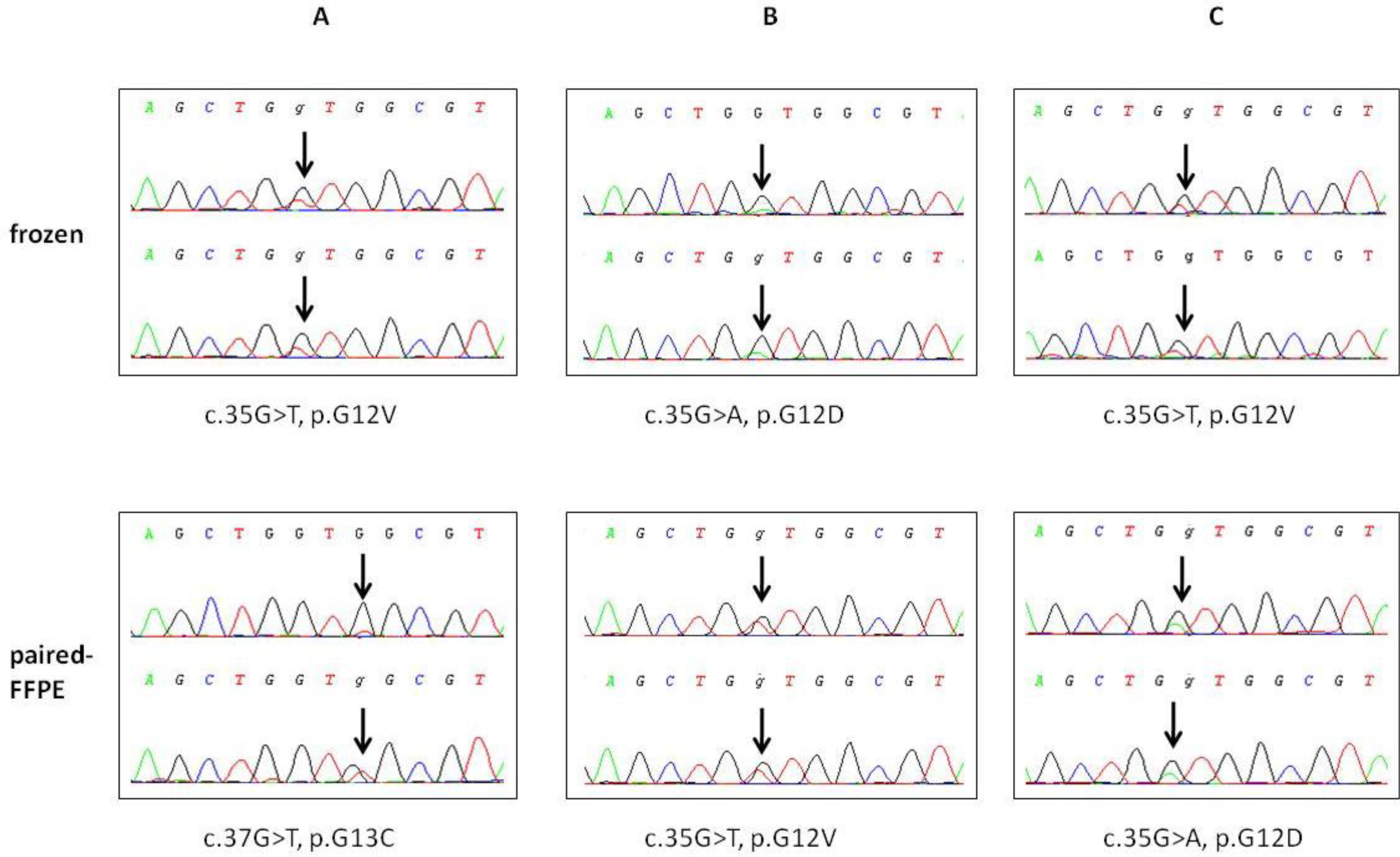 Ijms 12 03191f3 1024