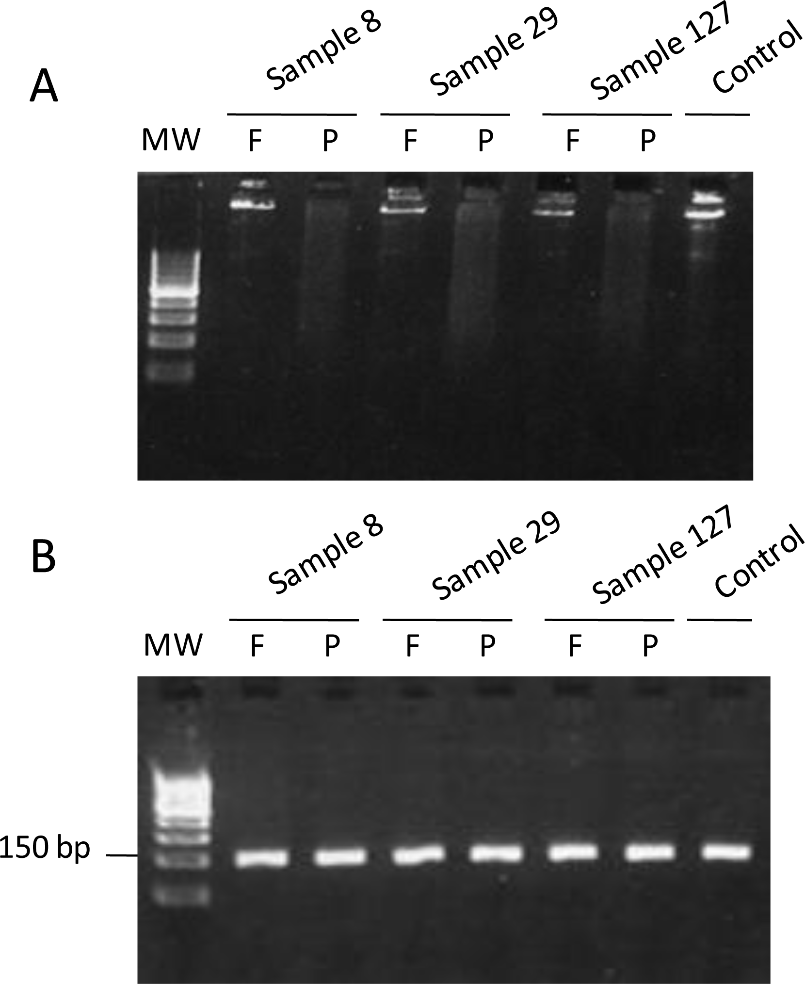 Ijms 12 03191f4 1024