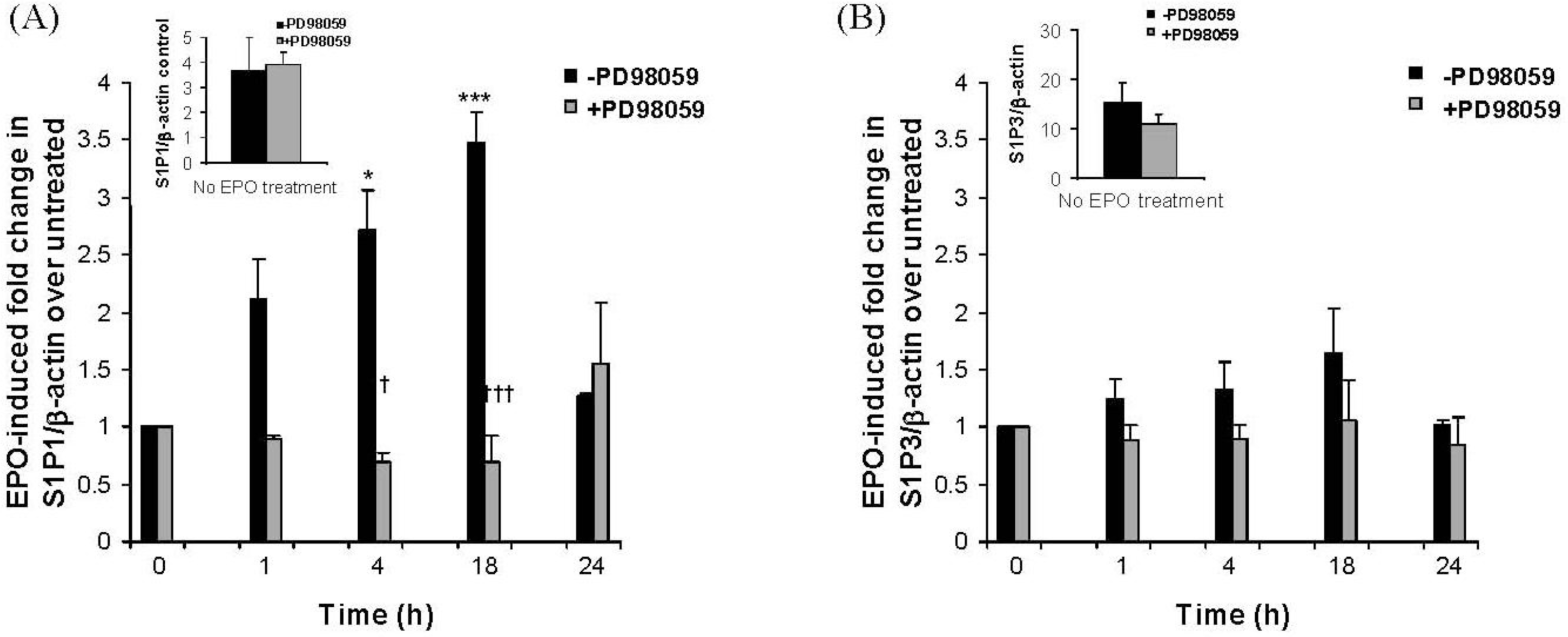 Ijms 12 03237f3 1024