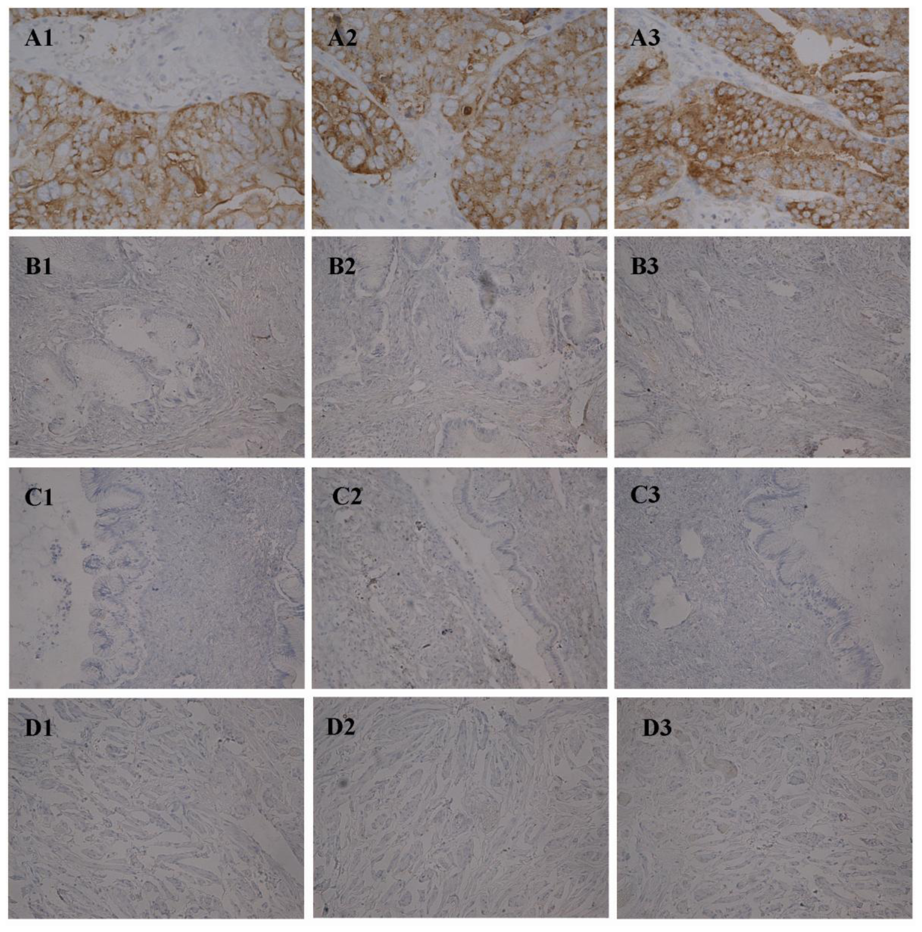 Ijms 12 03409f1 1024