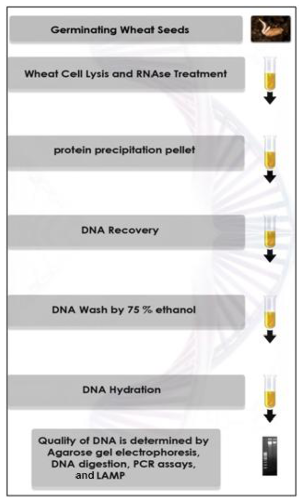 Ijms 12 03459f1 1024