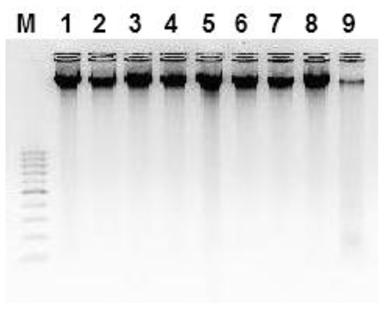 Ijms 12 03459f3 1024