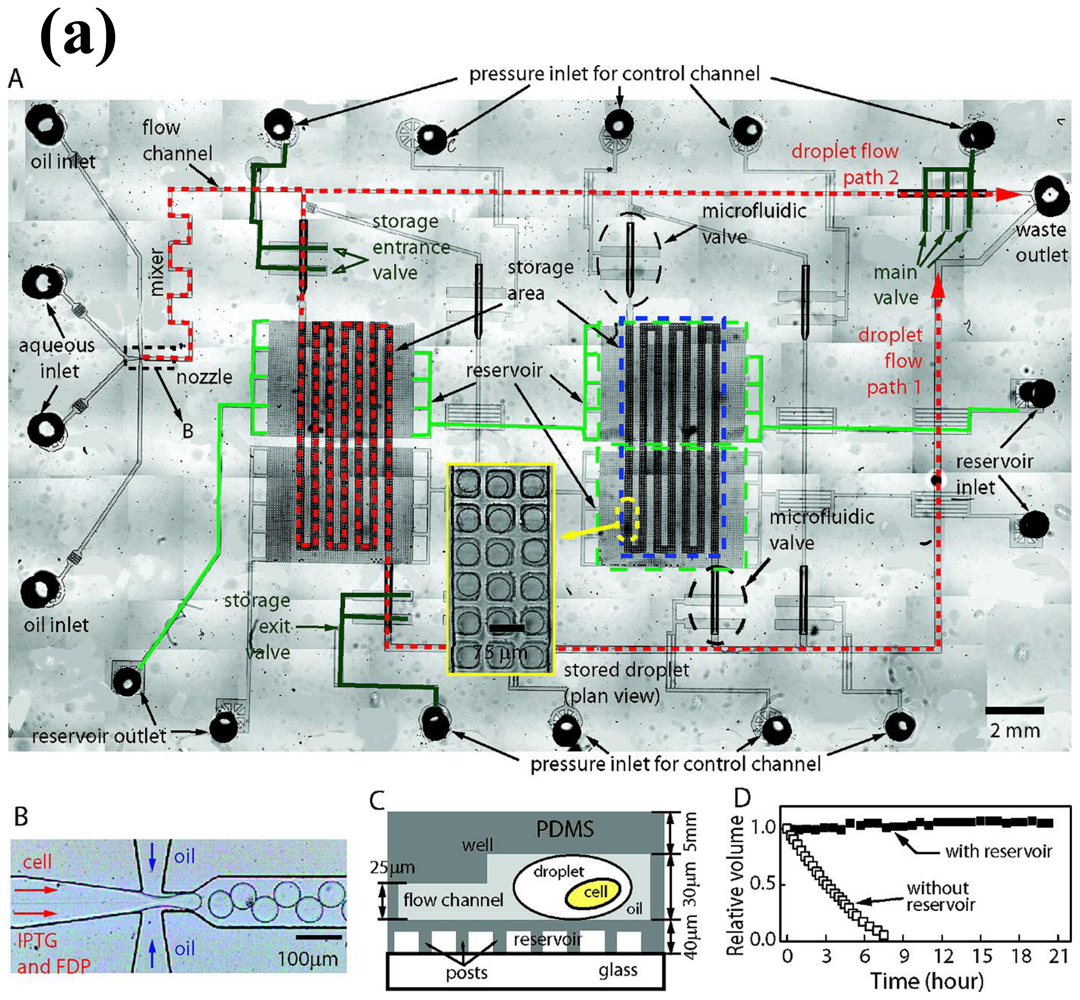 Ijms 12 03576f1a 1024