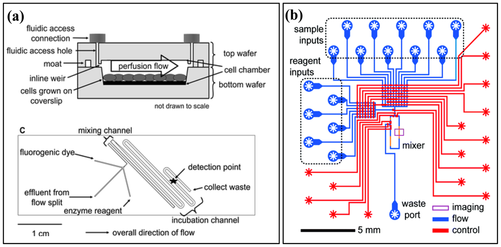 Ijms 12 03576f2 1024