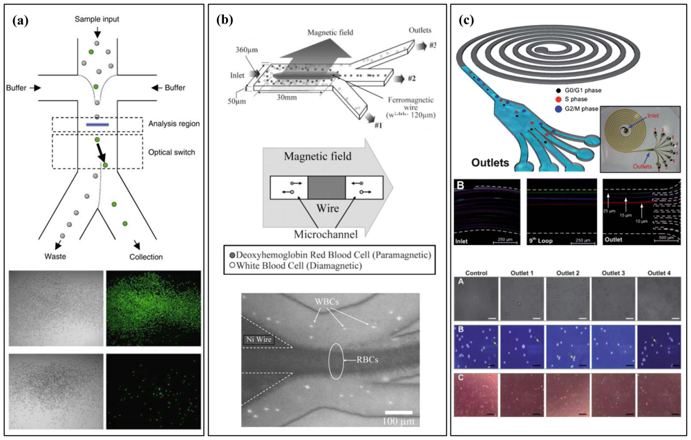 Ijms 12 03576f3 1024