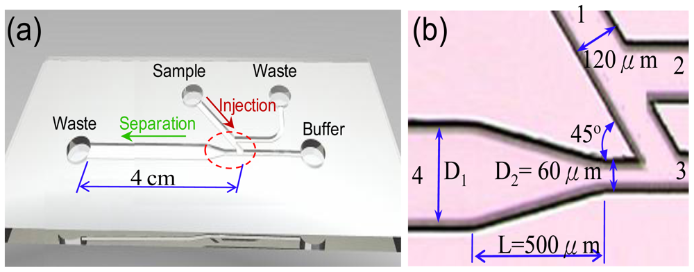 Ijms 12 03594f1 1024