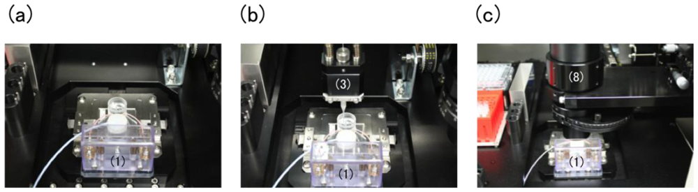 Ijms 12 03618f3 1024