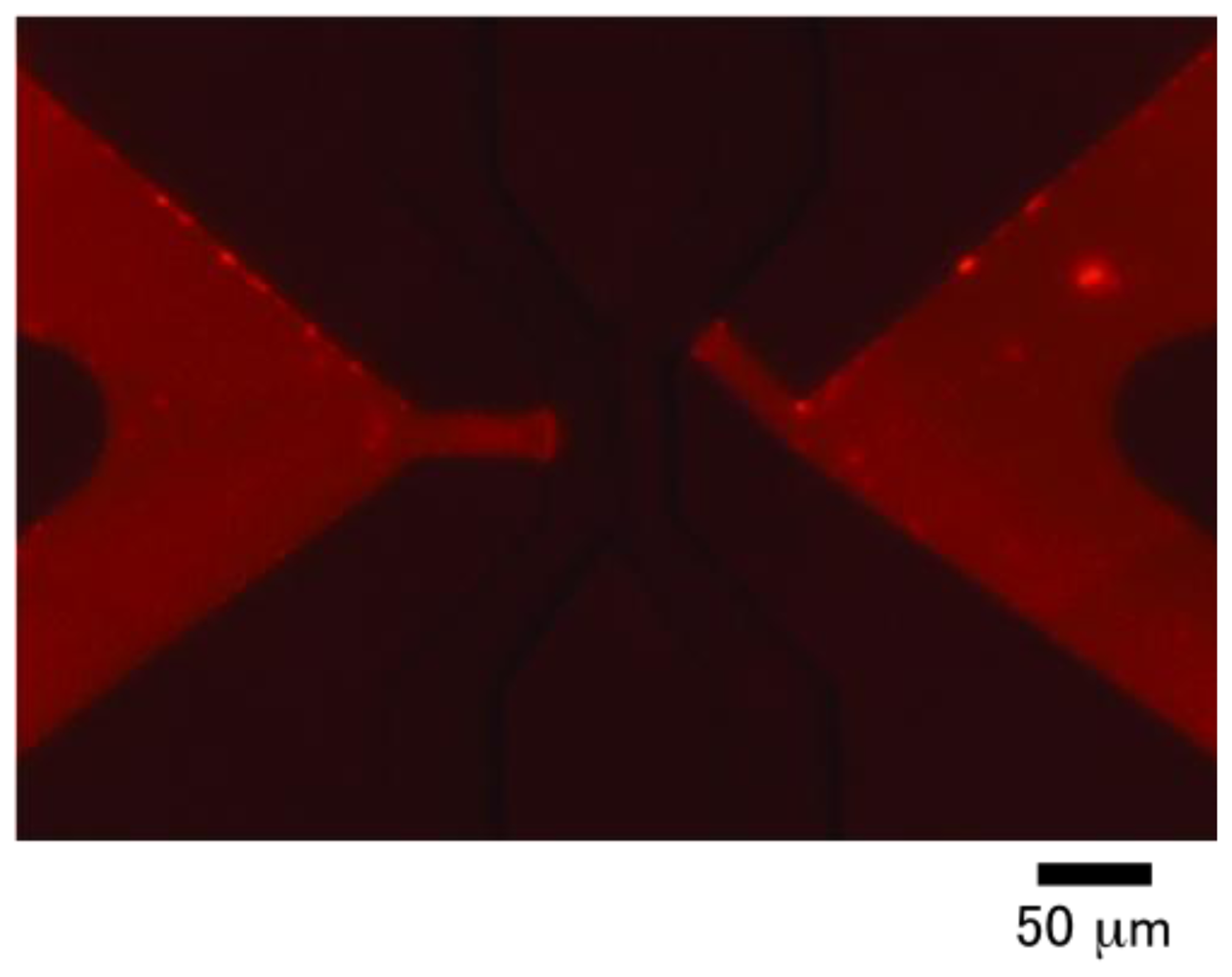 Ijms 12 03618f6 1024