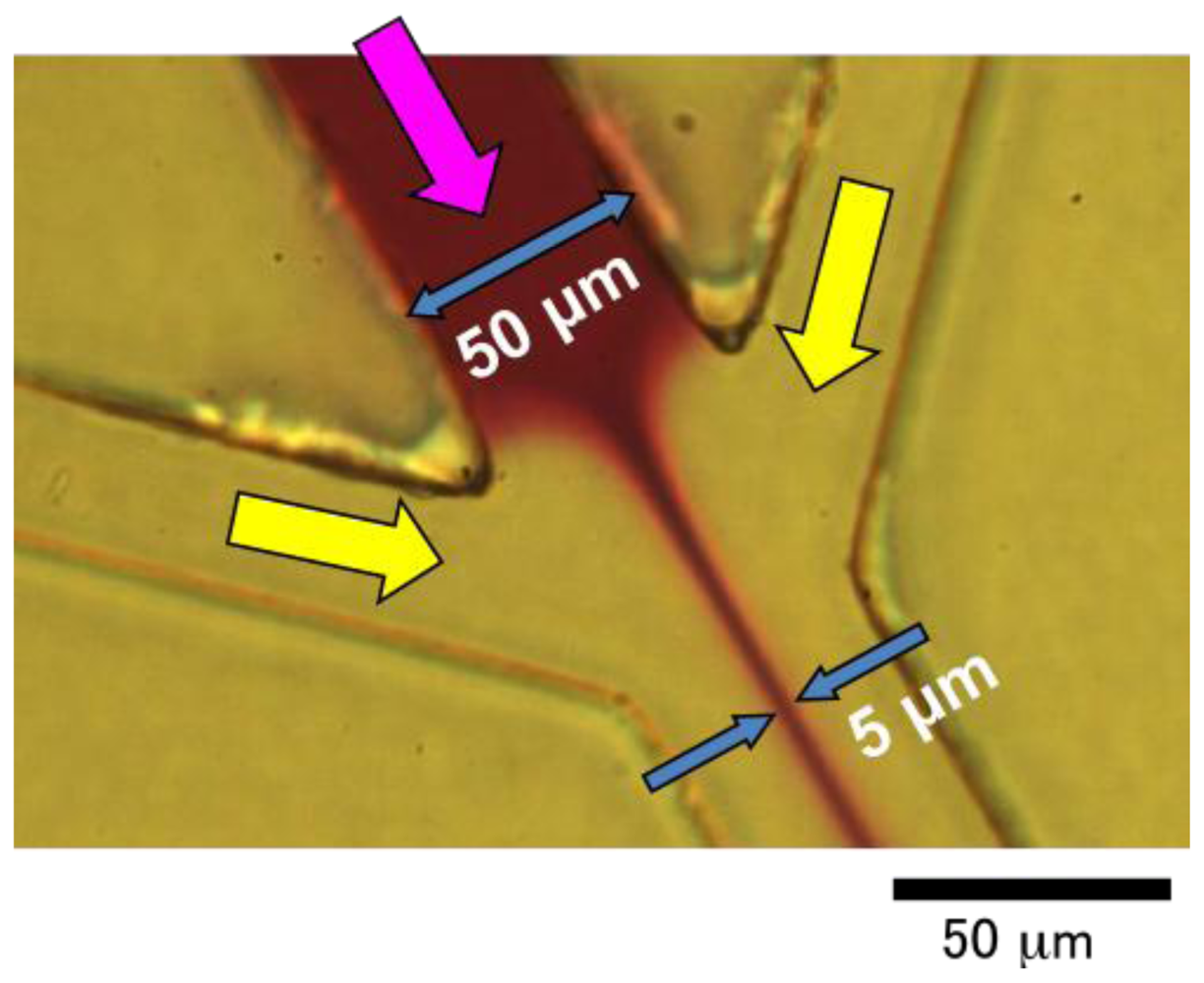 Ijms 12 03618f7 1024