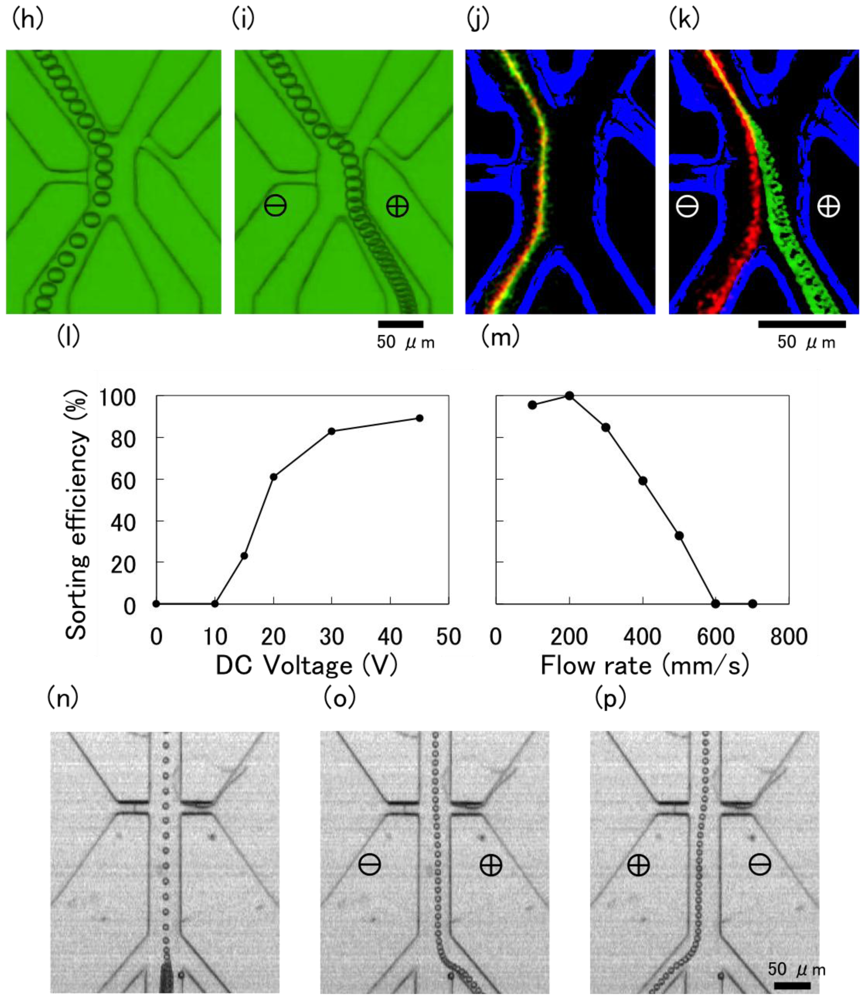 Ijms 12 03618f8b 1024