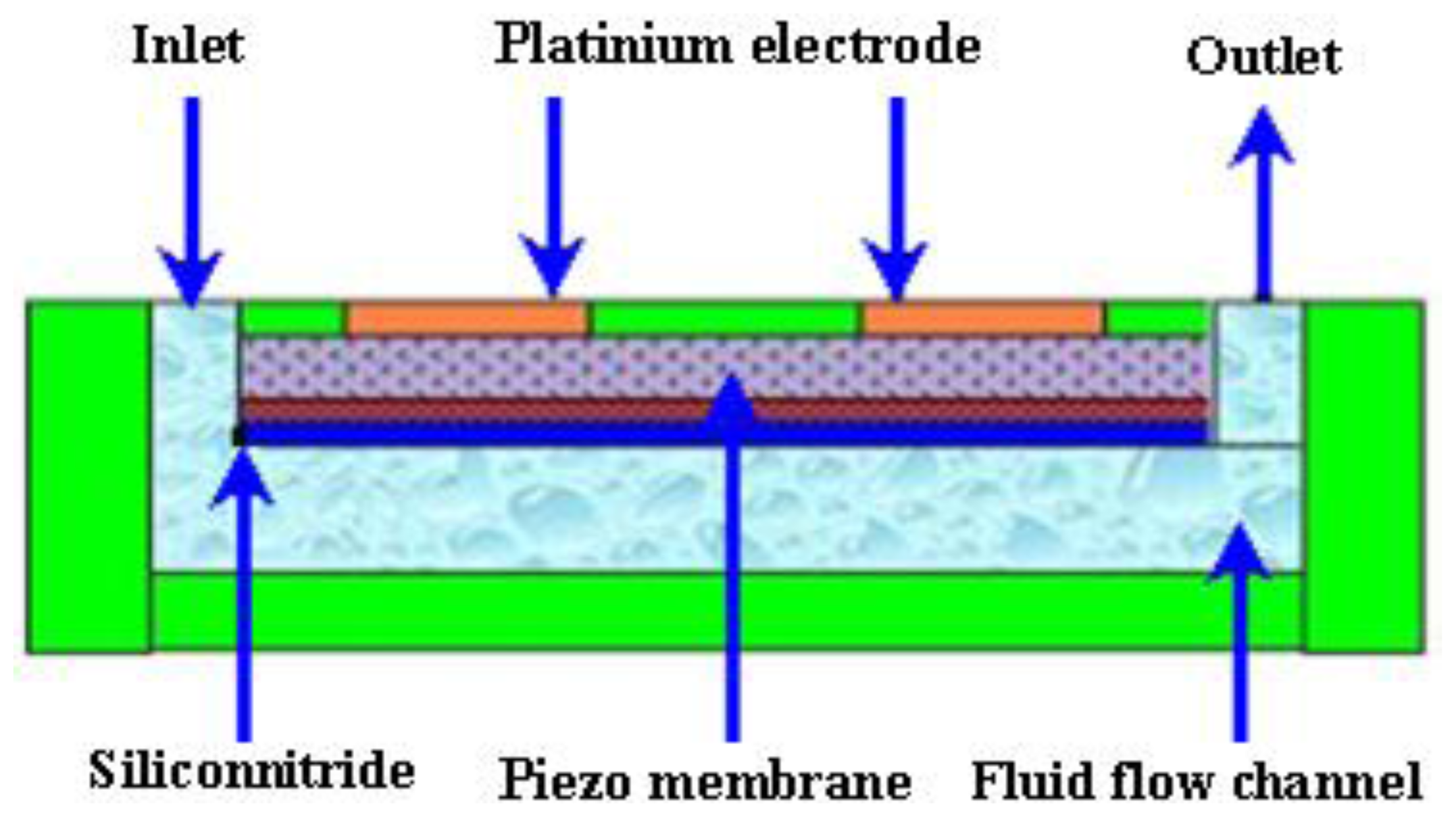 Ijms 12 03648f17 1024