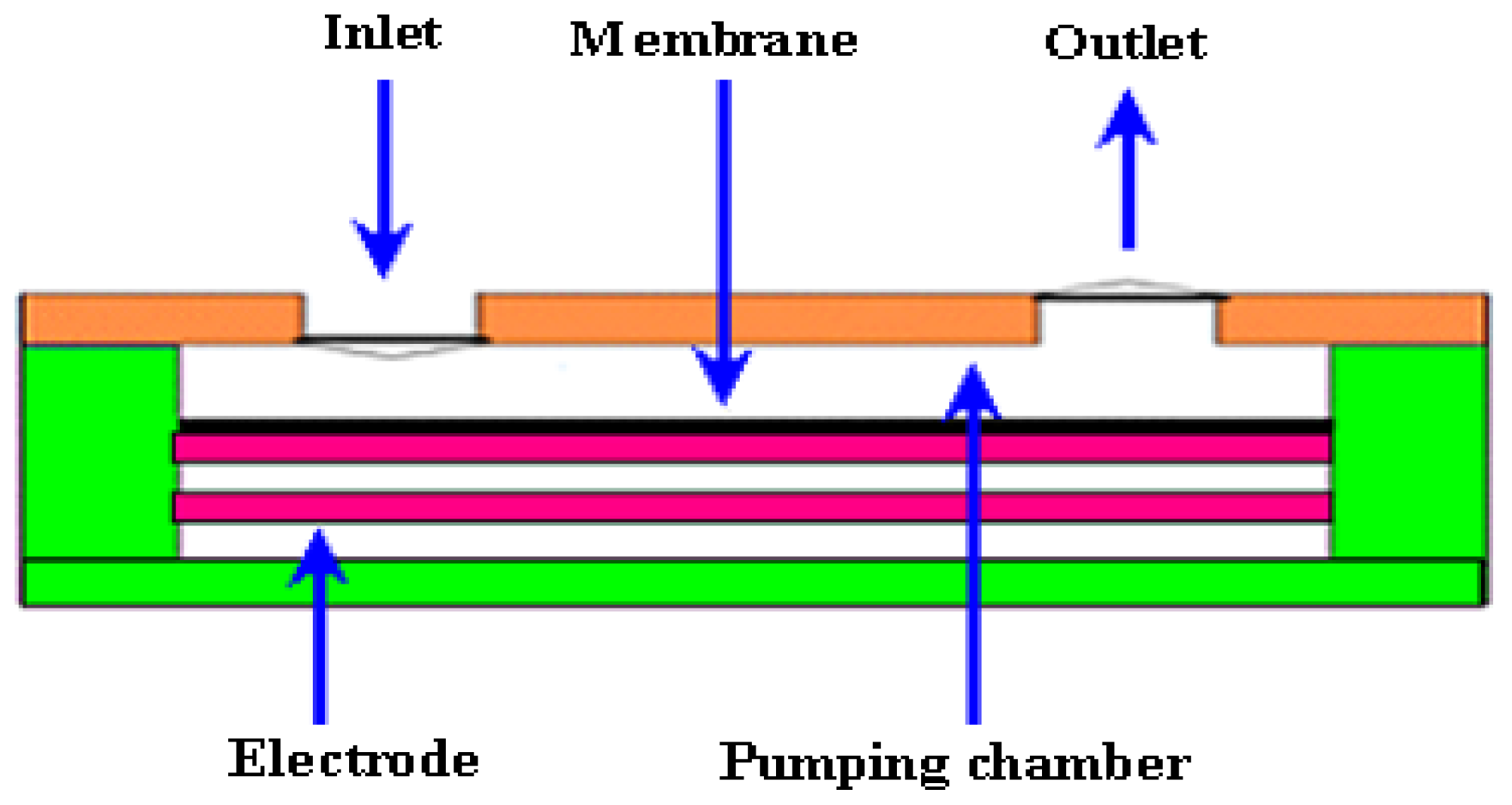 Ijms 12 03648f4 1024