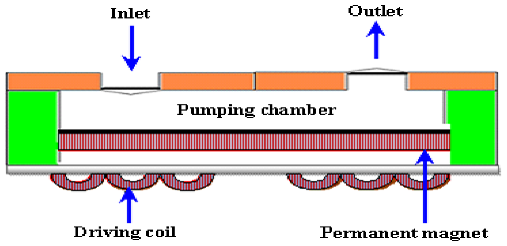 Ijms 12 03648f6 1024