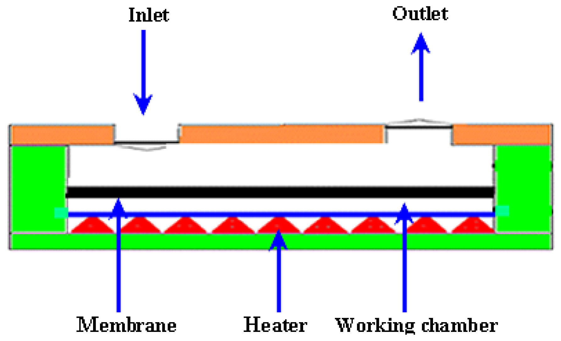 Ijms 12 03648f9 1024