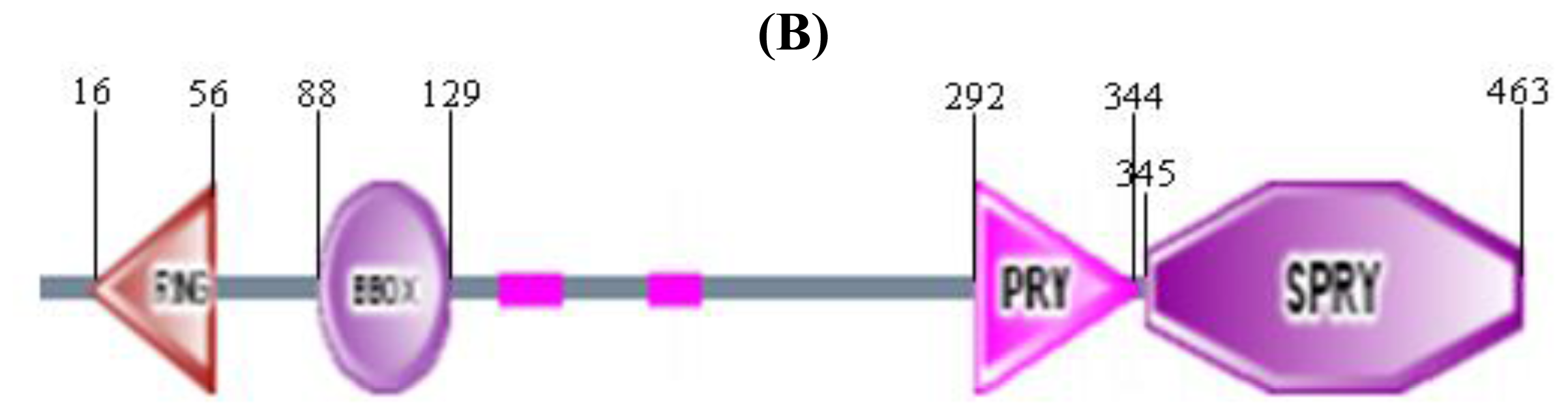 Ijms 12 03797f2b 1024