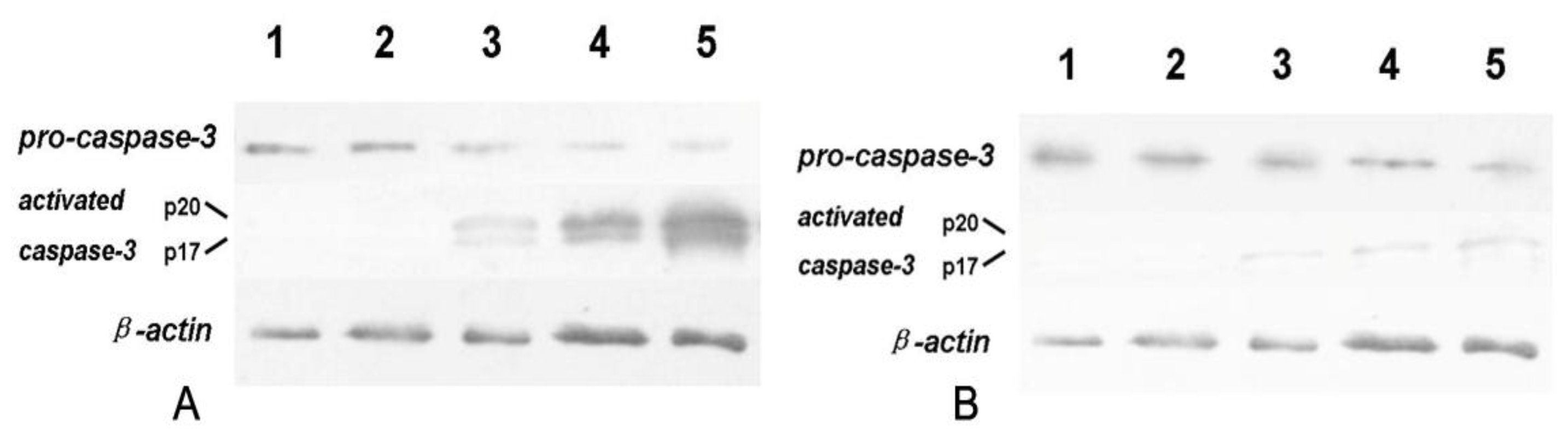 Ijms 12 03831f10 1024