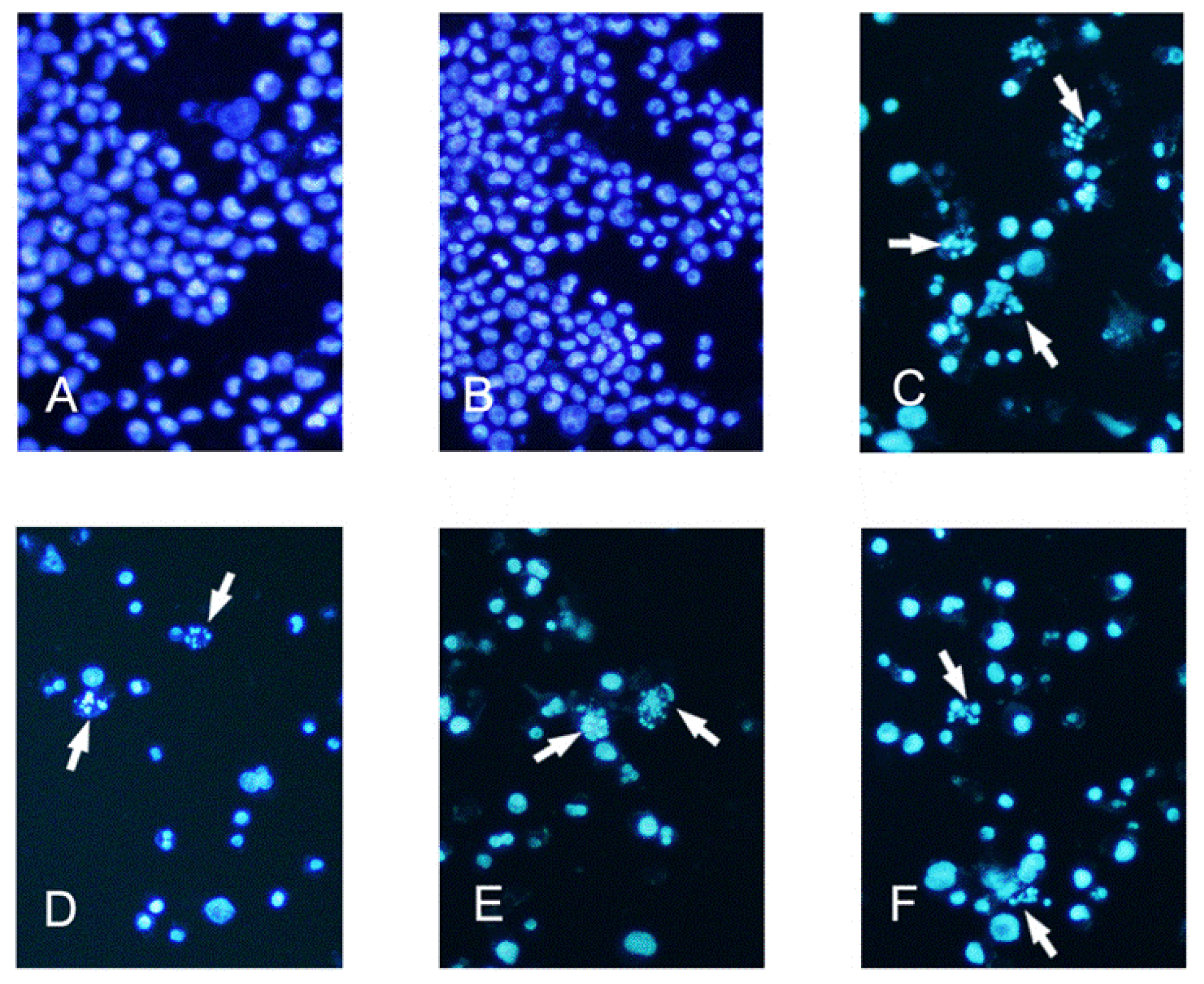 Ijms 12 03831f3 1024