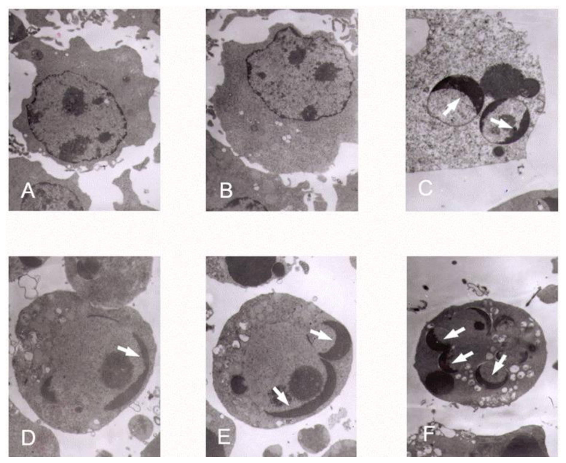 Ijms 12 03831f4 1024