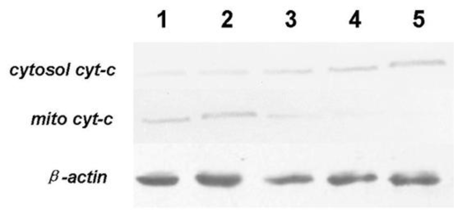 Ijms 12 03831f9 1024